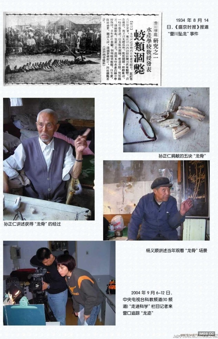 有圖有真相！　蛟龍曾在1934年於遼寧出現