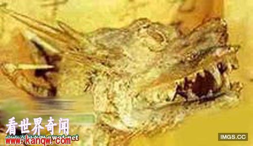 有圖有真相！　蛟龍曾在1934年於遼寧出現