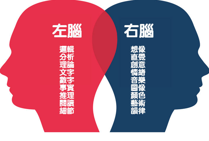 潛藏能力不同！　一張圖判斷出「你靈活的是左腦還右腦」