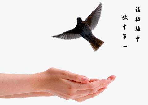 買動物「放生」丟入海 善事還是殺生？ 救護員趕到現場一片悽慘！