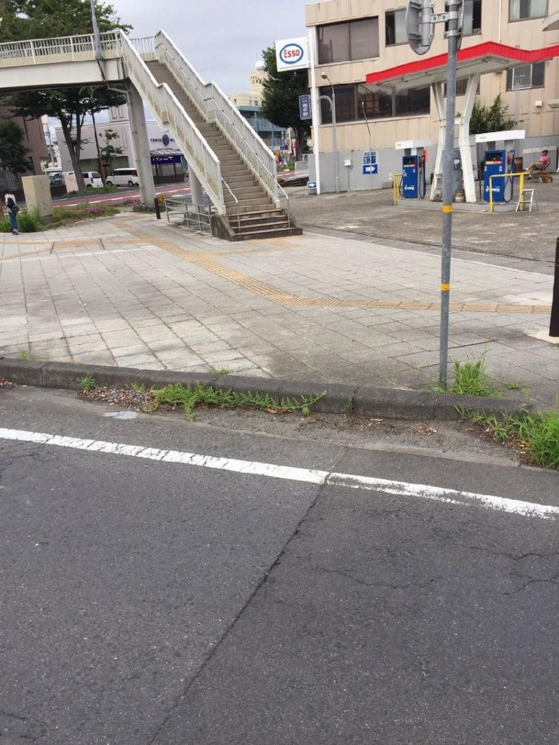 這張街景圖裡「有一顆西瓜」全球網友找到脫窗！一公布答案....所有人跪著喊：「真的是西瓜！」 