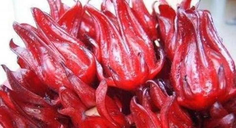 洛神花是植物界的紅寶石，清血管解酒還護肝，但這三種人不能吃