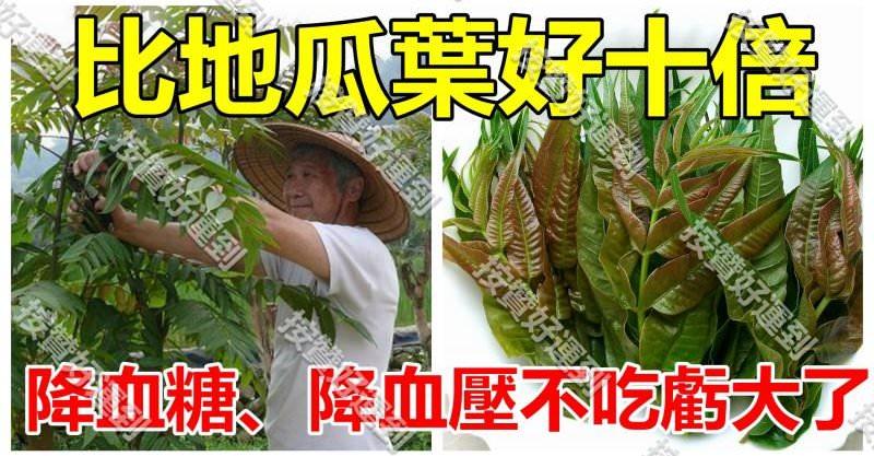 比地瓜葉好十倍，降血糖、降血壓、止瀉、止血不吃虧大了
