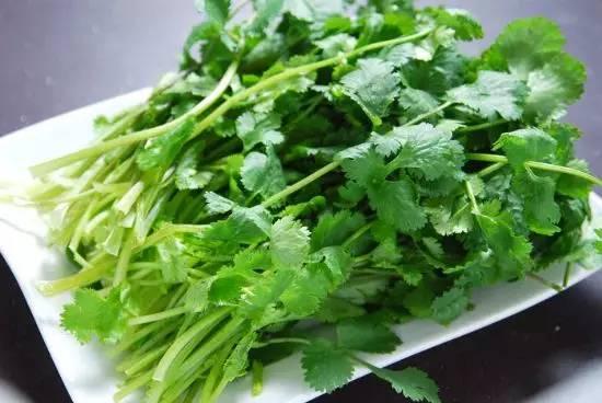 養花人：冬季花盆種上「3盆菜」，省了「買菜錢」，免費吃1冬天