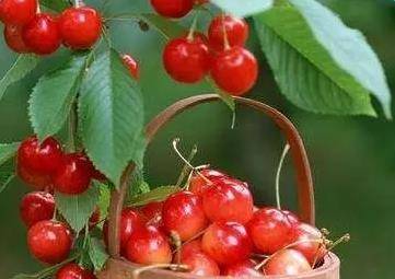 《糖尿病宜忌食水果一覽表》啥水果能吃？一次吃多少？全都寫清楚了哦！