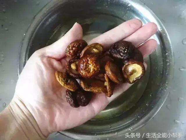 五星級大廚2分鐘快速泡發香菇、木耳、腐竹！簡單實用，快收藏！