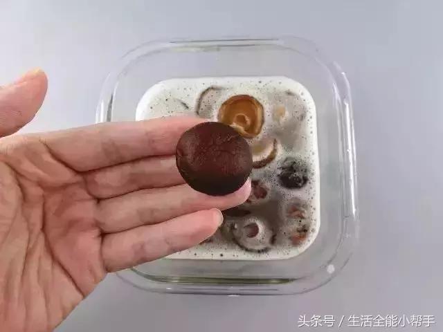 五星級大廚2分鐘快速泡發香菇、木耳、腐竹！簡單實用，快收藏！