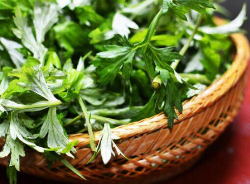 養盆「艾草」在家裡，自帶清香除異味，還能安神助睡眠！ 
