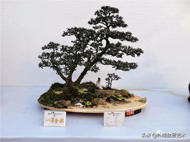 高手玩樹，木無貴賤，取形為上！
