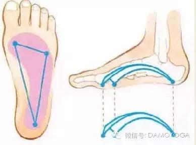 瑜伽平衡體式總做不好，跟身體條件無關喲！