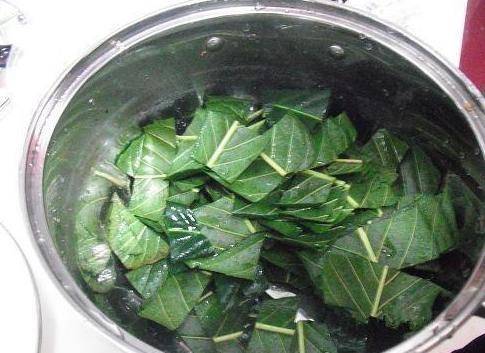反復咳嗽，喉嚨有痰難入睡？一片葉子熬碗水，再不復發（秒轉）