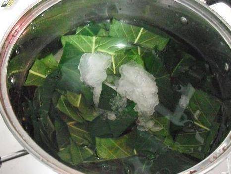 反復咳嗽，喉嚨有痰難入睡？一片葉子熬碗水，再不復發（秒轉）
