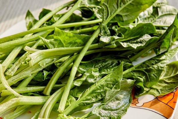 50歲後要多吃這4種【高鈣食物】，比鈣片好吸收，腿不疼膝蓋不痛了