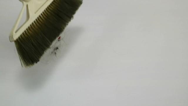 掃了30年的地才發現，塑膠袋套在掃把上，千家萬戶的難題就解決了