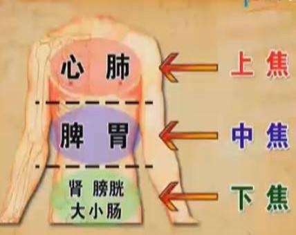 三焦在哪裡？有什麼用？收了吧！