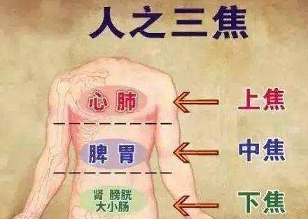 三焦在哪裡？有什麼用？收了吧！