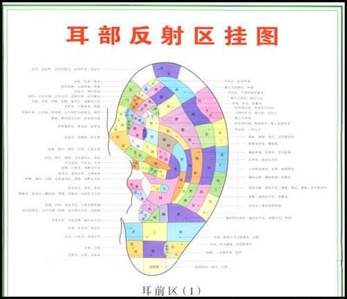 睡前黃金10分鐘，對耳朵做「4個動作」，你將有令人羨慕的好身體