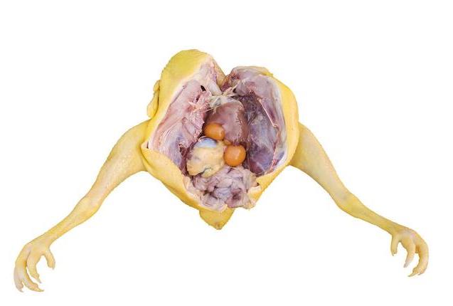 糖尿病很怕這8種蔬菜，常吃幫你【逼走】糖尿病，血糖慢慢降下來