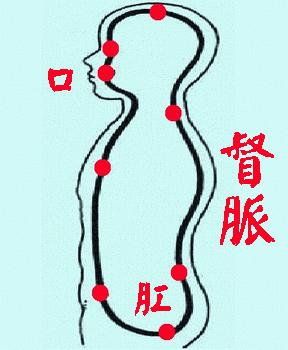 對著牆，做一個動作，治療失眠，腰腿疼痛，十病除九，很多人受益.
