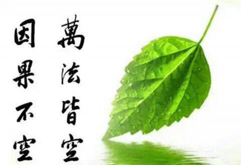 夫妻因果，三世糾纏，看完後你會明白很多（不管多忙都要看完。） 