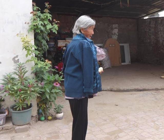父親被兒媳趕到破草屋，感染重病，兒子趕忙去看父親，卻發現一些動物在父親身旁