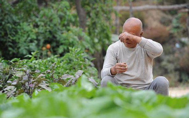 兒子從不回家，每月寄1000回來，父親裝死騙他回家，進屋臉都白了!