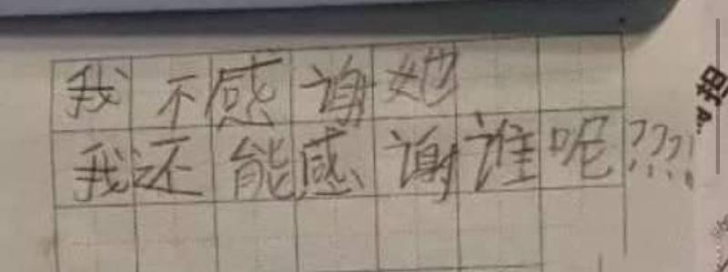 男童6歲詩作【我不感謝媽媽】結尾神轉折母感動