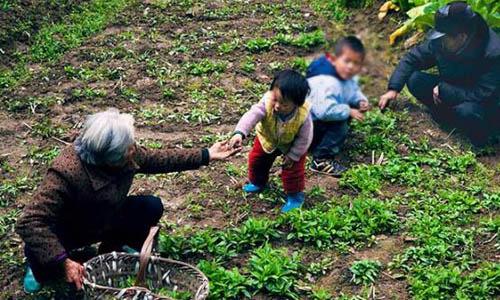 婆婆對小姑子太偏心！老公怒了，家產全給你，老媽給你養！