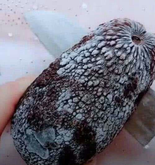 女孩收拾房間時，翻出了前任送的生日禮物，切開後無法淡定