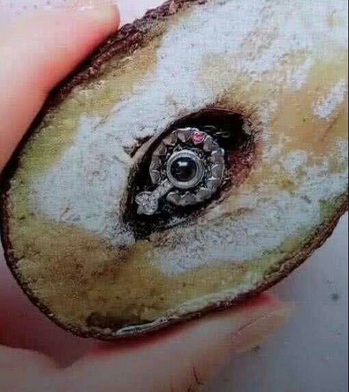 女孩收拾房間時，翻出了前任送的生日禮物，切開後無法淡定