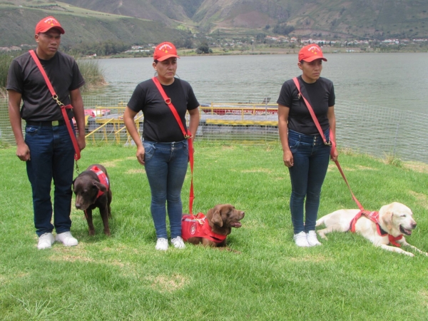 這隻搜救犬在地震災區「竭盡全力搜救」 ，找到7位生還者後「卻嚥下最後一口氣」