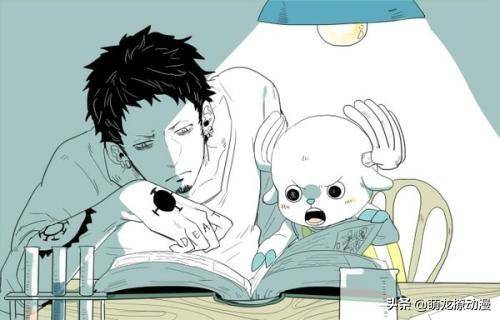海賊王中最厲害的四位船醫，一個給羅傑續命，一個給白鬍子續命