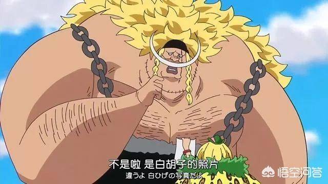 《海賊王》中白鬍子二世是很強，為什麼尾田說他擁有壓倒性的力量？