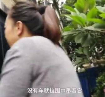 狗狗癱瘓8年沒法走路，主人依然沒放棄，裝上小輪椅之後，生活變了