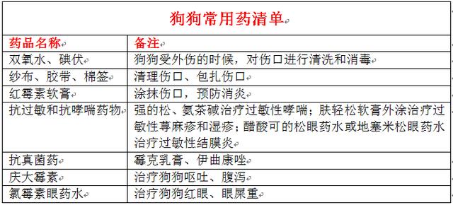 狗狗唾液具有殺菌的效果？搞不好會感染傷口