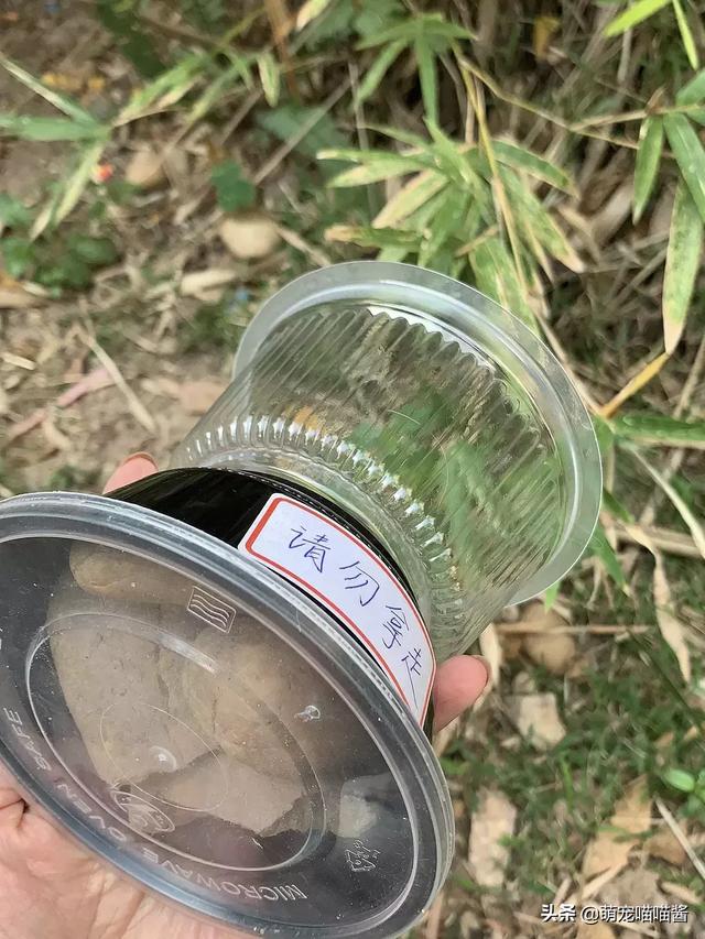 喂流浪貓的食物怕吹走？做一套送給流浪貓的精緻小餐具吧！