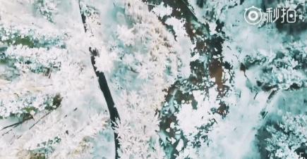 這裡一下雪就美成了現實版的天空之城，還能泡著溫泉看雪山