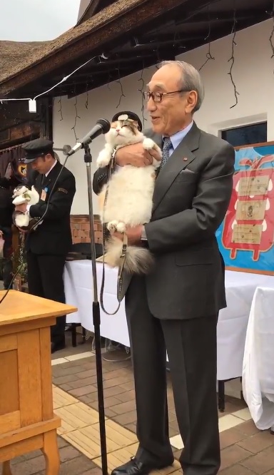 貓站長「就職12周年」紀念日！一開口致詞「霸氣：喵嗚～」網笑：快結束啦