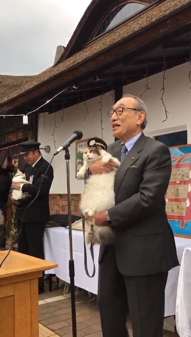 貓站長「就職12周年」紀念日！一開口致詞「霸氣：喵嗚～」網笑：快結束啦