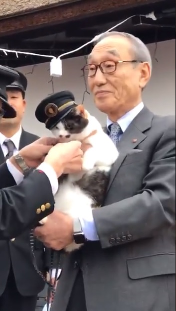 貓站長「就職12周年」紀念日！一開口致詞「霸氣：喵嗚～」網笑：快結束啦