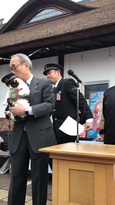貓站長「就職12周年」紀念日！一開口致詞「霸氣：喵嗚～」網笑：快結束啦