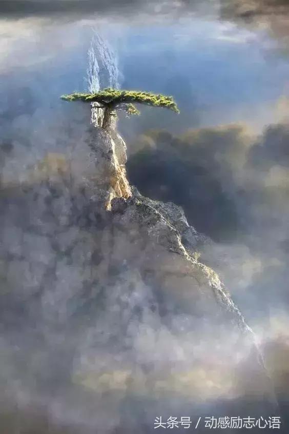 奇景異照，實在太美了！