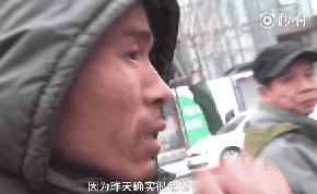 對於貓貓狗狗來說，春節也許是它們最害怕的節日