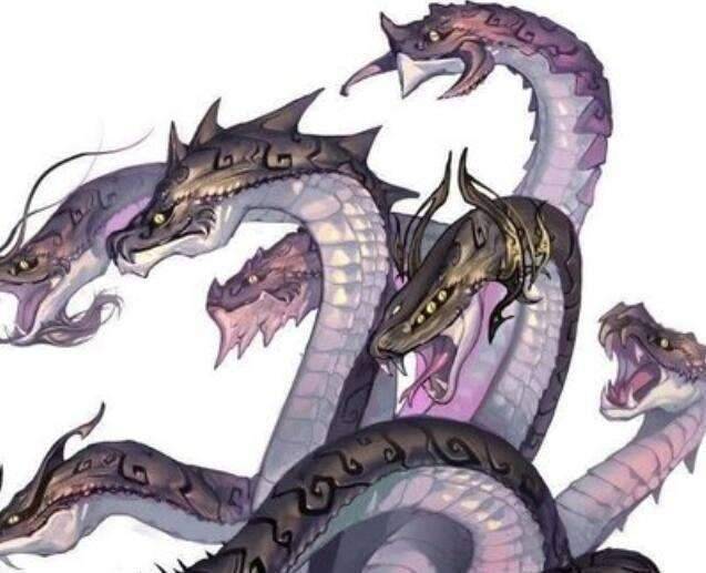 海賊王和之國篇：索隆戰火災，山治踢爆黑炭大蛇，羅賓是根源