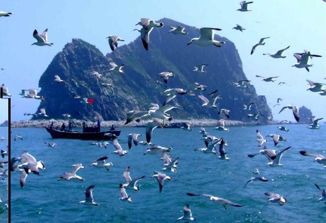 中國最美的島嶼，天然的海上大花園，一句話：不收門票，不宰客