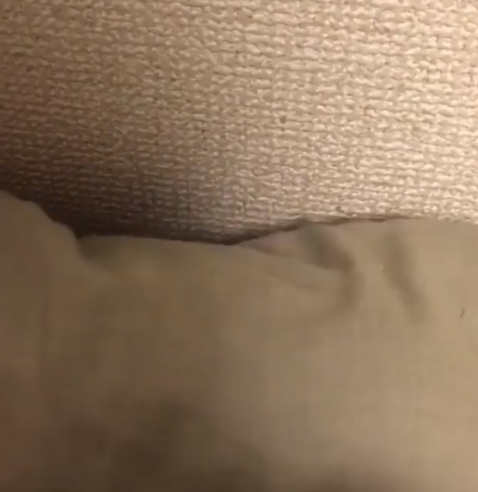 果然水做的！小橘貓「巴著沙發」漸漸消失...5秒就不見：啊～我流下去了
