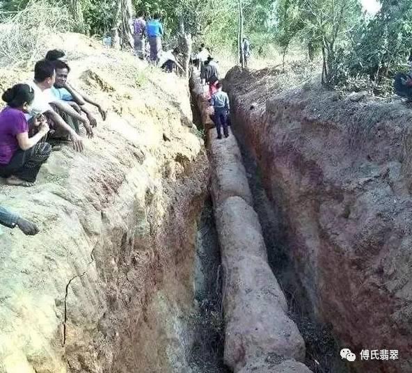 緬甸最近挖出一根長型物體，估計價值連城