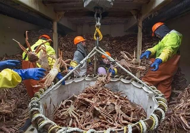 工作5天就可以掙70萬元，可為何很少有人願意去，全球卻沒幾人敢幹 