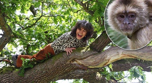 5歲女童被遺棄深山，猿猴收養了她，24年後生下兩個女兒！