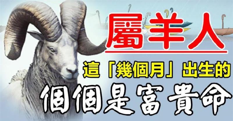十羊九苦？假的！這「幾個月」出生的屬羊人個個是富貴命   